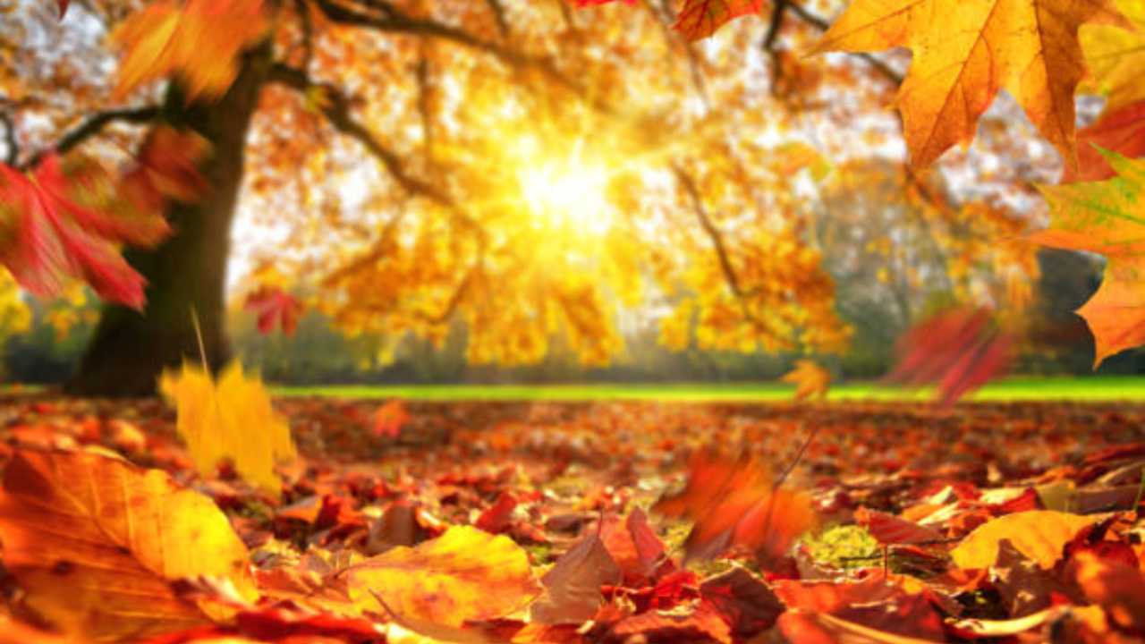 Cosa leggere in autunno