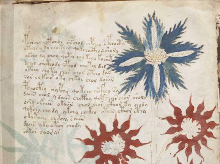 Voynich Manuscript - Wikipedia - InchiostroVerde.it 