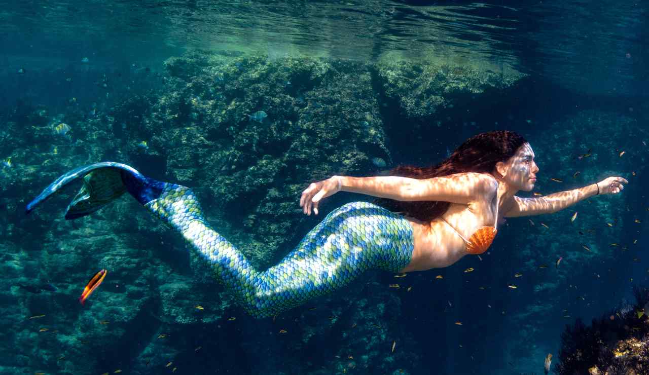 Avvistata sirena nel mediterraneo - Inchiostroverde.it (Fonte foto Canva)