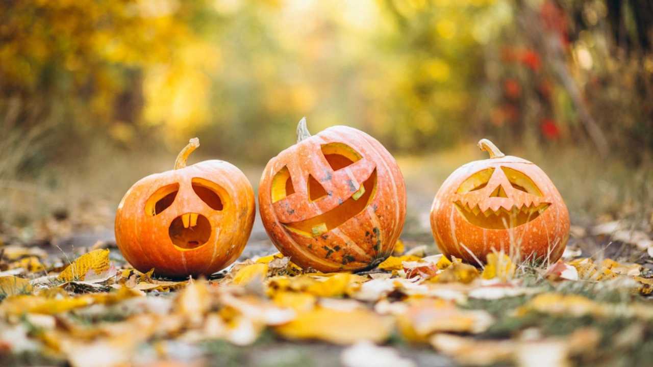 Idea per Halloween
