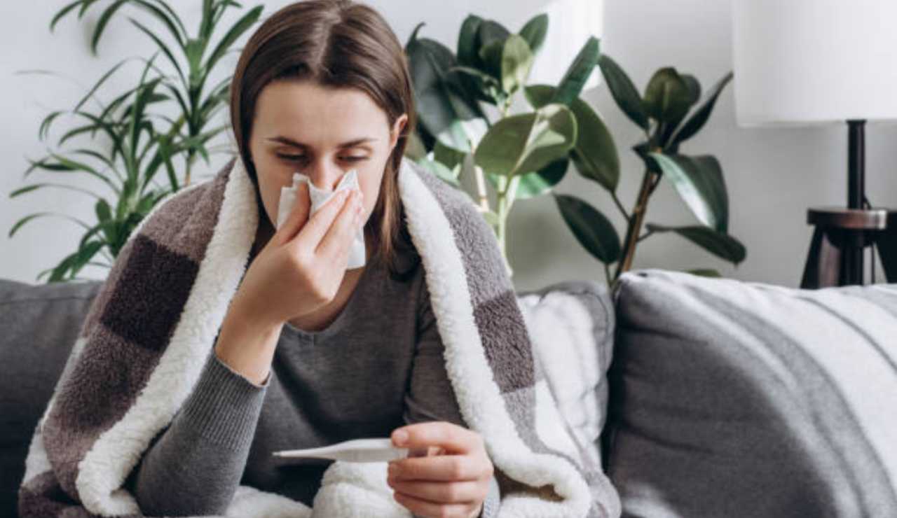 Influenza 2025