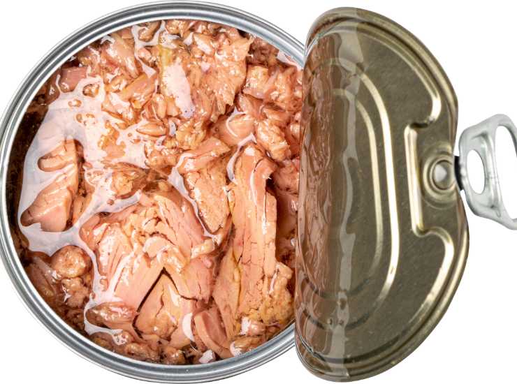 Non comprare questo tonno - Inchiostroverde.it (Fonte foto Canva)